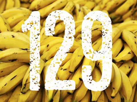 Cisza wyborcza - Pączek #129