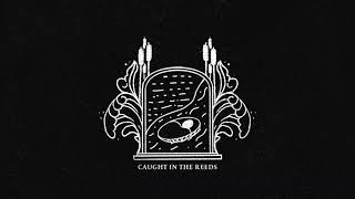 Chris Renzema - &quot;Caught In The Reeds&quot; (Moses)