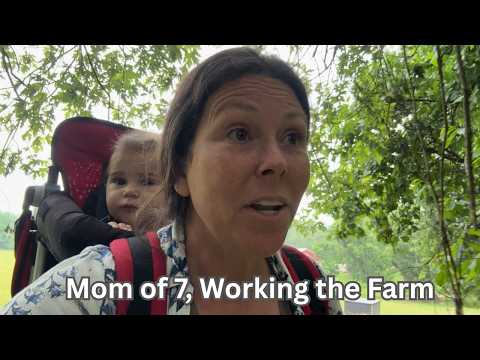 Electric Shock Therapy on the Farm