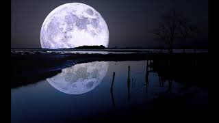 Brandy- Say You Will[#LIGHTWORKER V2]