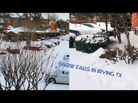 Dallas snow falls/ winter storm/snow storm 2021 /snow fall/ snow fall in Irving tx