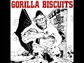 Gorilla Biscuits 1988 Full Album Hardcore Punk U S