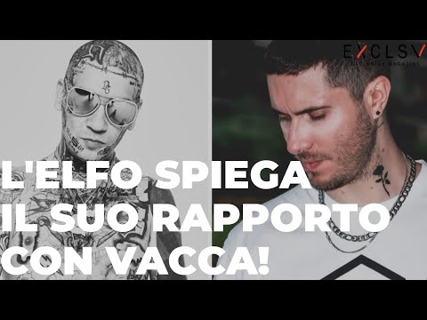 L'ELFO SPIEGA IL SUO DISGUIDO MAI RISOLTO CON VACCA!