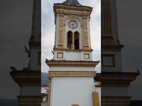 Floración de Ocobos en Guayatá Boyacá #guayatá
