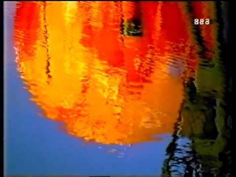 BBC1 Junction - Thursday 19th February 1998 - Part 1/3