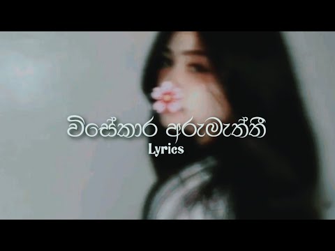 Visekara Arumaththi - ( විසේකාර අරුමැත්තී) | Lyrics Video | Ranidu 