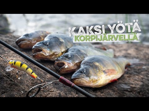 Ahvenkalassa korpijärvellä – Kahden yön telttaretki Kainuussa