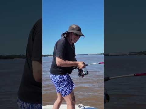 surubi en salto uruguay, la celeste pesca