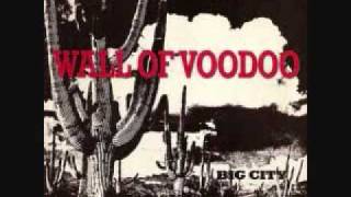 Wall of Voodoo Mexican Radio