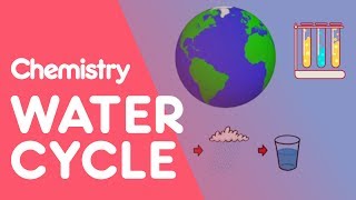 What Is The Water Cycle | Environmental Chemistry | Chemistry| FuseSchool