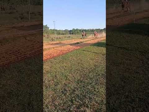 Hipódromo Yataity del Guaira - BUSCA TESORO GANADOR - 22/10/25
