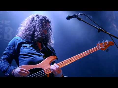 Thumbnail for Brian Hogan Bass Player in Dublin by Korn, L.A.B., Depeche Mode, George Hamilton IV, Ween, The Fray, Paul Brady, Kerrang!, Les Paul, The Dubliners, Frida, Lou Reed, Ronnie Wood, Cher