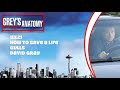 Grey's Anatomy Soundtrack - "Gulls" by David Gray (11x21)
