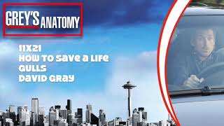 Grey&#39;s Anatomy Soundtrack - &quot;Gulls&quot; by David Gray (11x21)