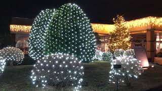 イルミネーション＆キャンドルナイト七北田公園2020