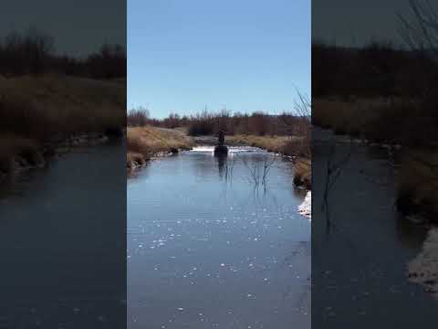 Stealth boat 1200 with a backwaters long tail 6.5 hp
