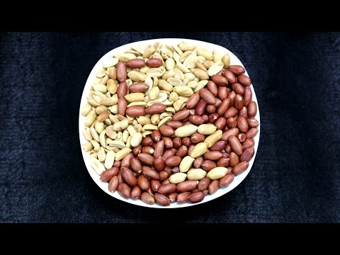 download lagu mp3 mp4 Peels Nut Butter, download lagu Peels Nut Butter gratis, unduh video klip Peels Nut Butter