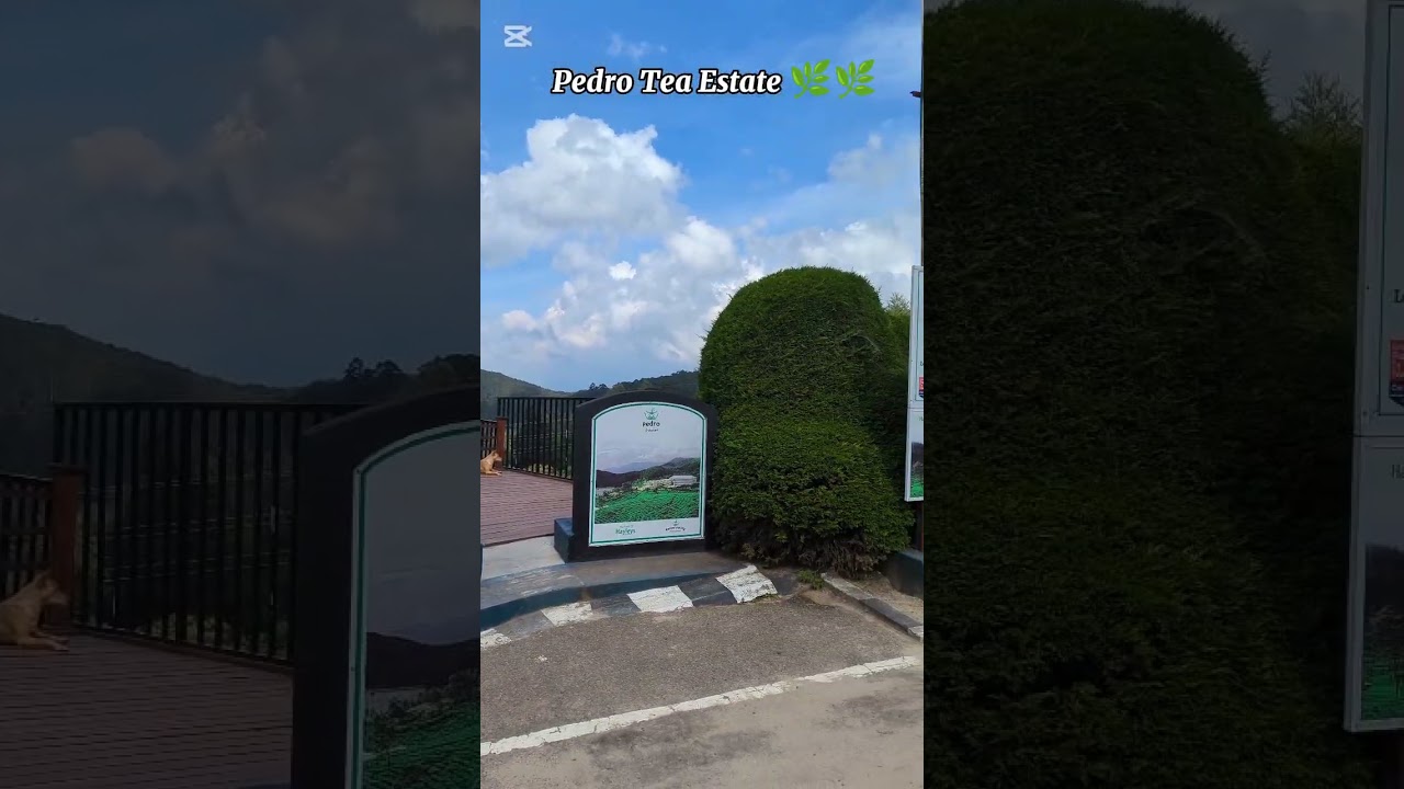 YouTube Short thumbnail