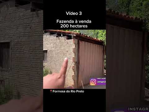 What 77998539398 fazenda à venda em Formosa do Rio Preto Bahia #fazenda #soja  #Chacará #milho