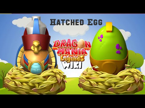 Hatched Horus Dragon & Boxer Dragon | Dragon Mania Legends