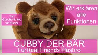 Cubby - Mein Knuddelbär Hasbro FurReal Friends E4591 interaktives Plüschspielzeug - alle Funktionen