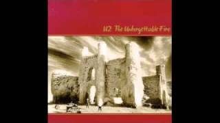 Elvis Presley and America de U2