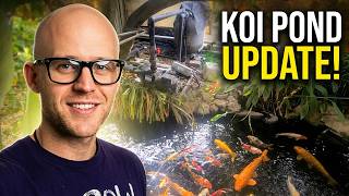 Koi Pond Tour: Update on my koi pond