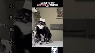 Ranking The Best Unexpected Cat Reactions! (Part 2)