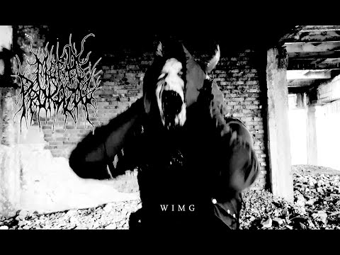 Mora Prokaza - WIMG (new school black metal 2020). SUBTITLES ブラックメタル