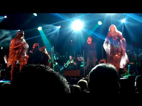 Rock meets classic 2017 Buxtehude - Craig Te Paa . Lucy in the sky with Diamonds