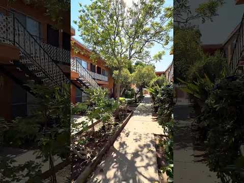 Marlborough (Winn) - Video 2 of 2