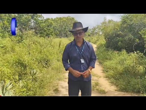 995#Sítio 2.5 hectares para vender Glória de Goitá 125.mil