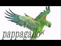 italian for children - pappagallo - итальянский для детей 