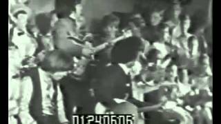 Standells - Why Pick On Me