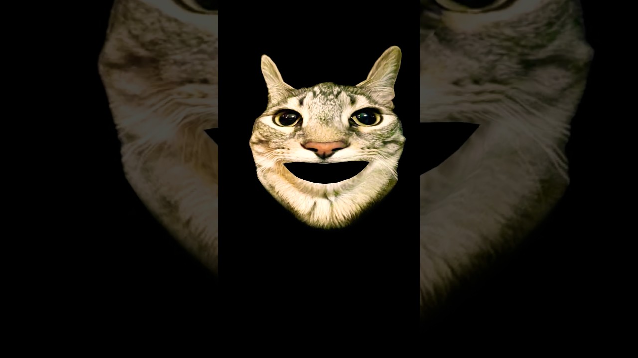 Introducing the😄😄😄😄 