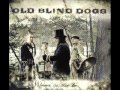 Old Blind Dogs Lough Erne`s Shore 