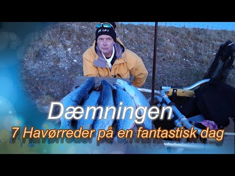 Dmningen Marts 2020 vol2 Havrred