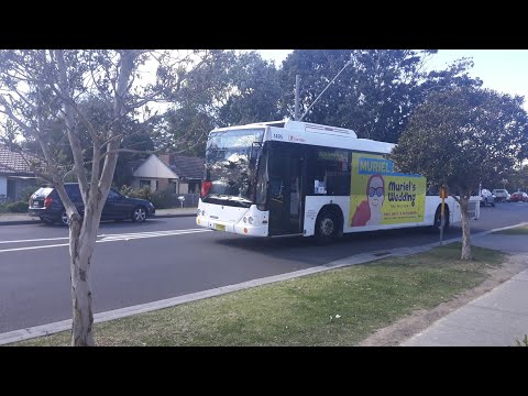 Transdev 1495 Scania L94 Custom Coaches TBA on 599 to Berowra