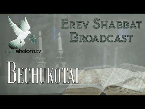 Erev Shabbat | Bechukotai: In My Statutes