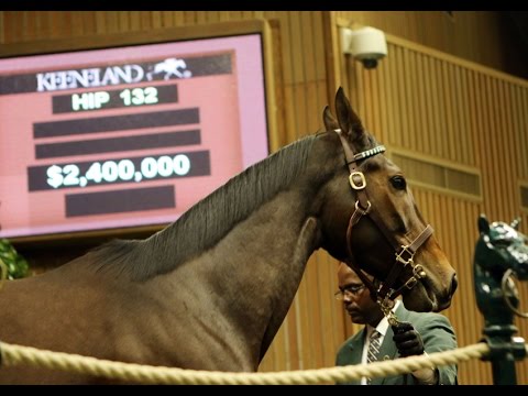 2014 November Breeding Stock Sale: Hip 132 - Stanwyck