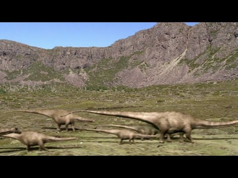 Diplodocus Herd