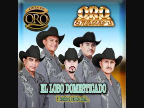 CARICIAS VIEJAS-ORO NORTENO