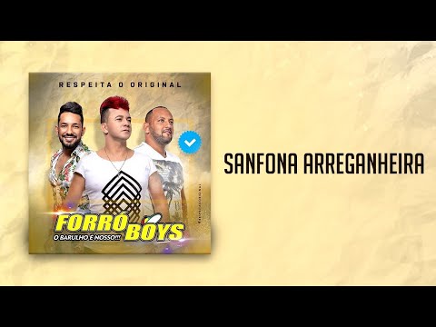 FORRÓ BOYS... CD VOL 08 - SANFONA ARREGANHEIRA.