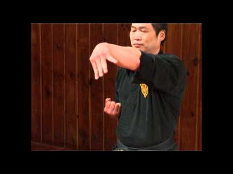 Wing Chun First Form Gong Fu