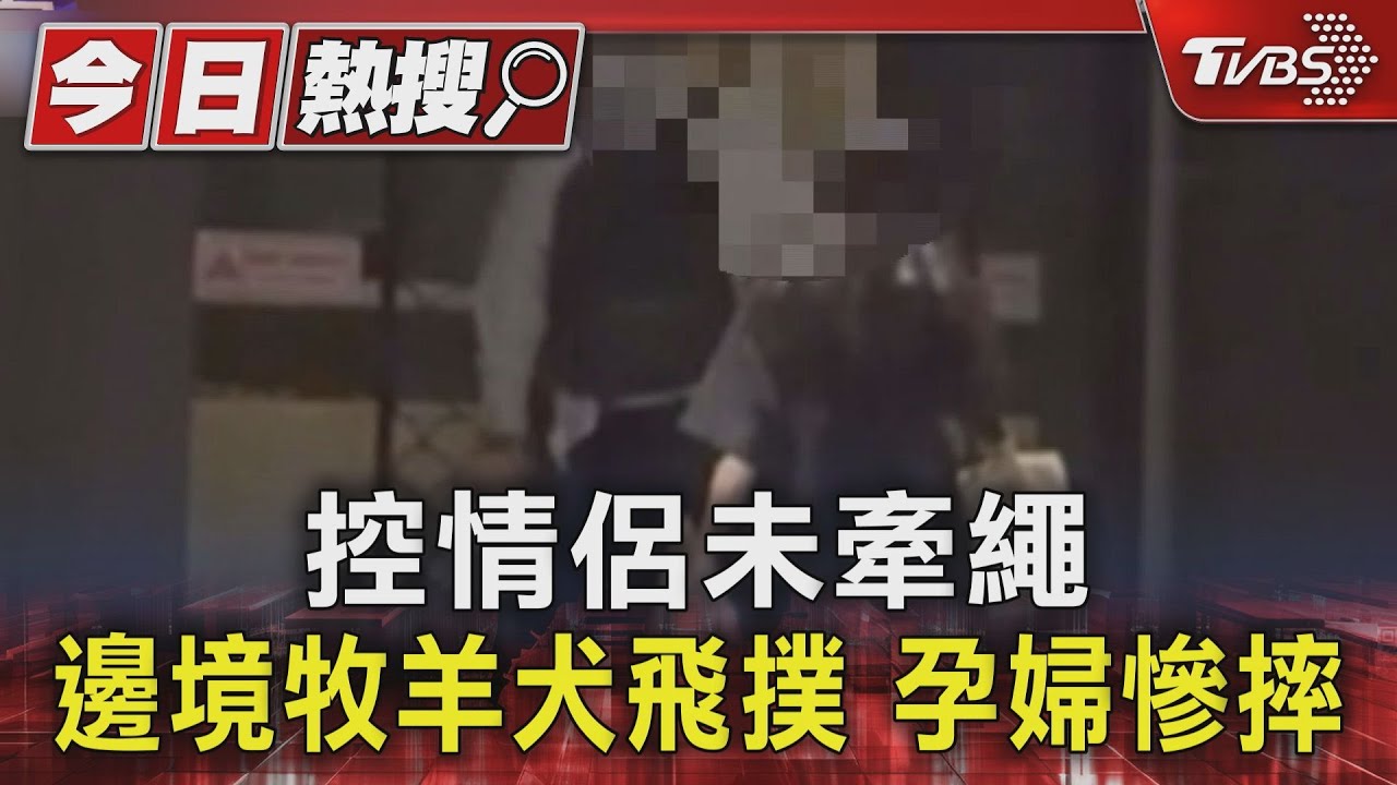 獨家/控情侶未牽繩!邊境牧羊犬飛撲 孕婦慘摔