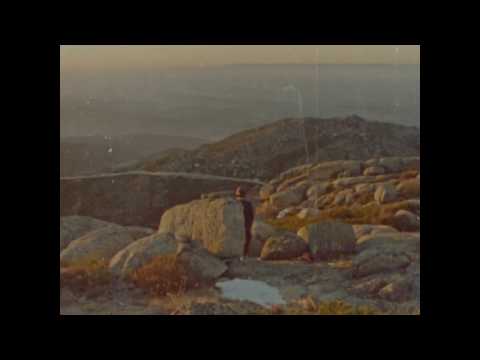 Bearbug - Mt. Orchid