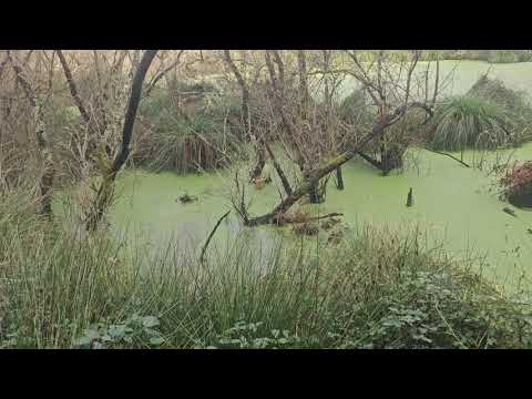 De Tapia de Casariego a Lagunas de Salave