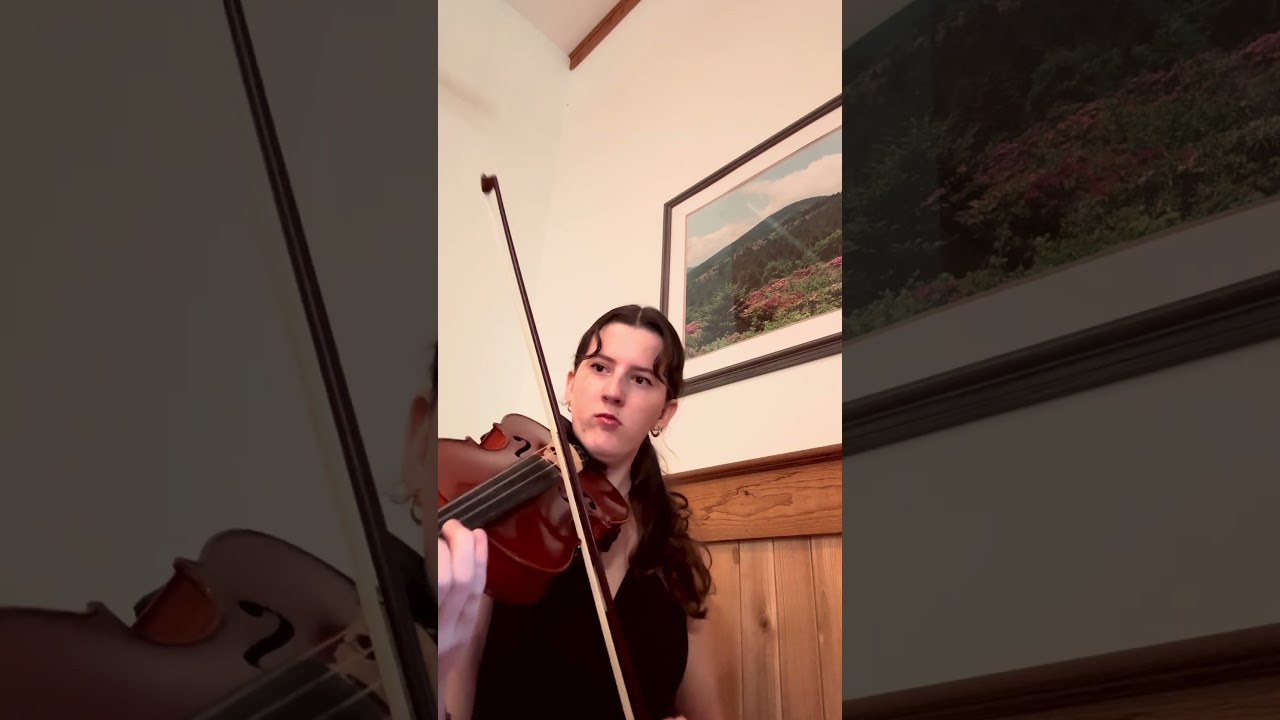 Promotional video thumbnail 1 for Bayley Tuttle Event Violinist