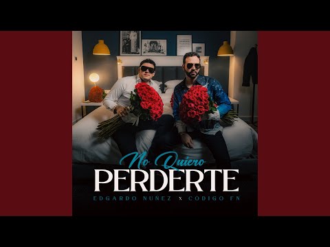 No Quiero Perderte