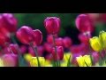 Lenny White - Diane Reeves - It Was a Very Good Year